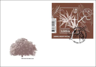 RASTLINSTVO - SAMONIKLE MEDOVITE RASTLINE